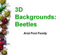 Beetles background for PowerPoint