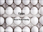 Eggs