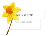 Free spring powerpoint background