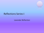 Reflections Series - PPT 2007 - Lavender